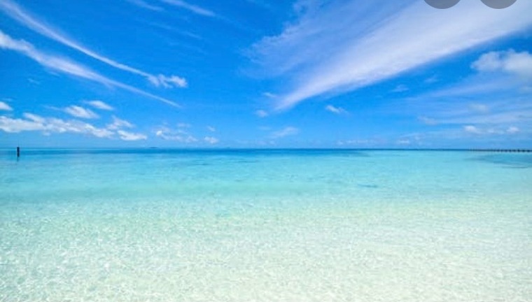 Dbootee cover image