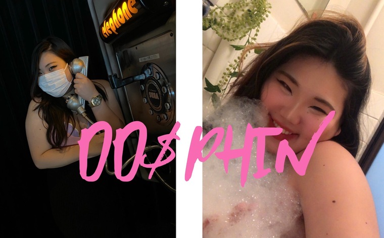 DD$PHIN banner image