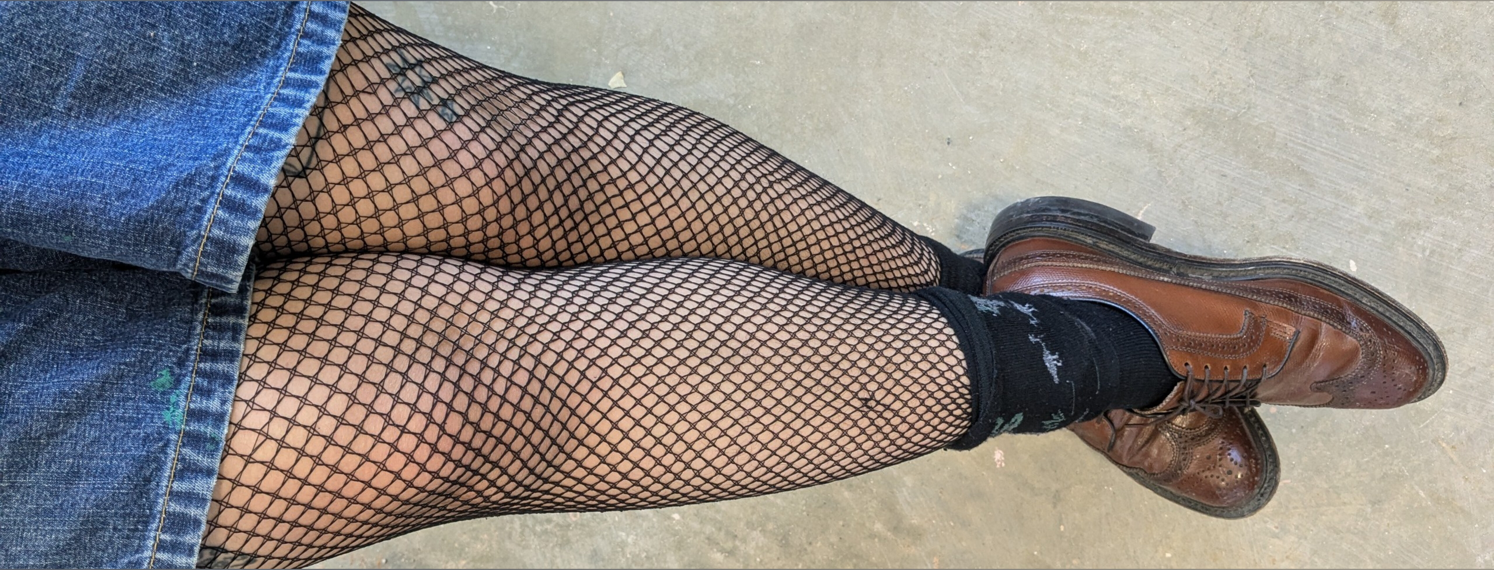 lexi banner image