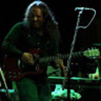 Dave Rowan avatar
