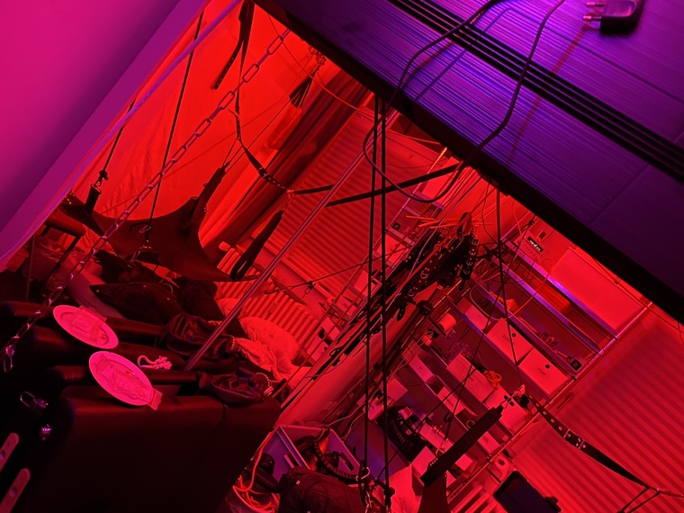 Dealwithit banner image