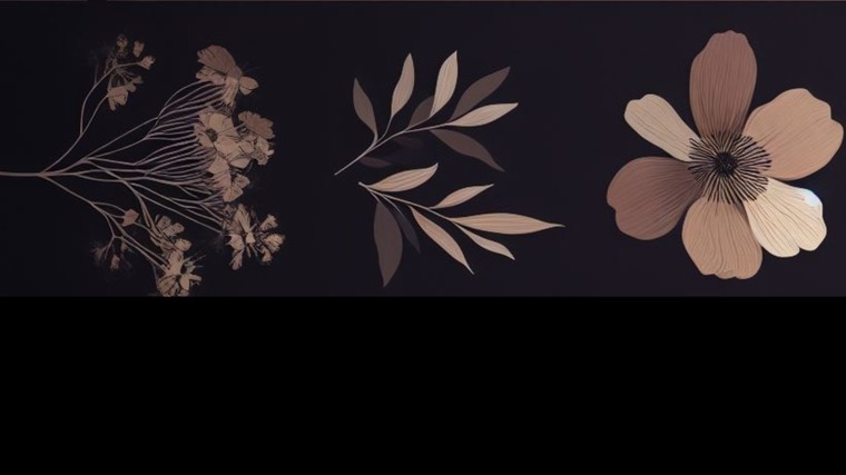 Freya cover image