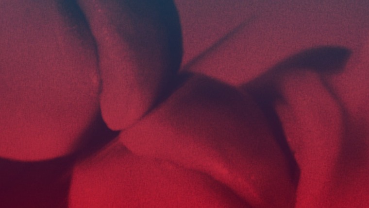 𝔏𝔦𝔩𝔦𝔱𝔥 ⚸ cover image