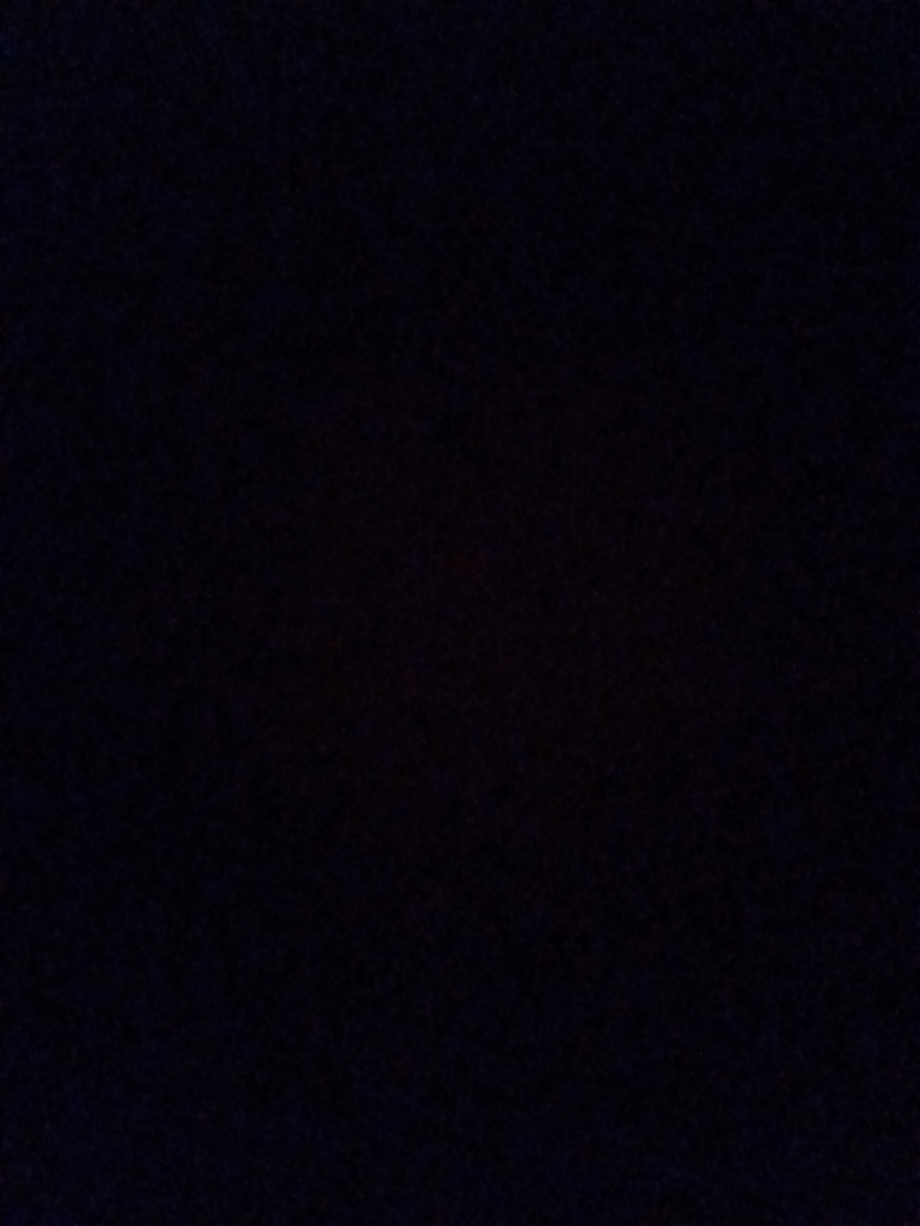 Debby banner image