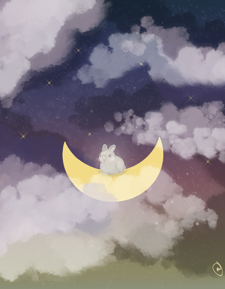 Dee cover image