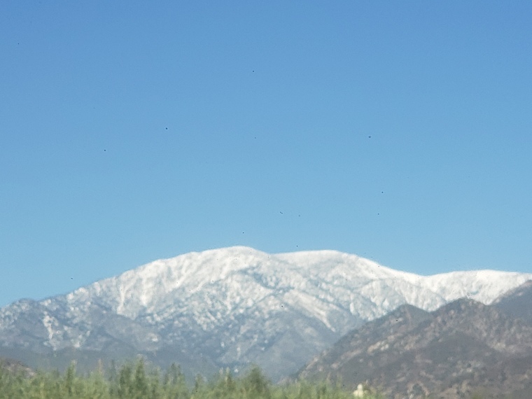 Dee banner image