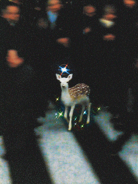 Deerlirious cover image