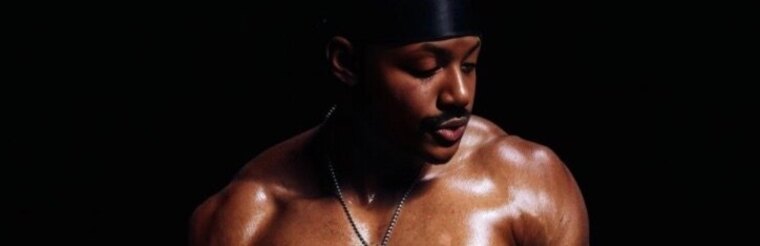 Dee Strokes (Stallion) banner image