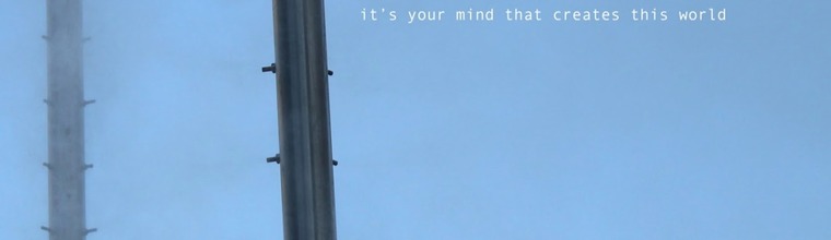 Delphine banner image