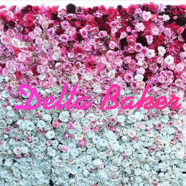 Delta Baker banner image