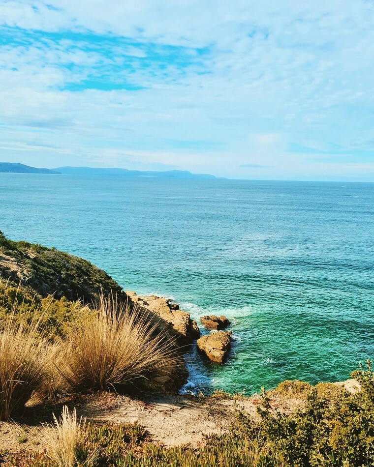 Demi banner image