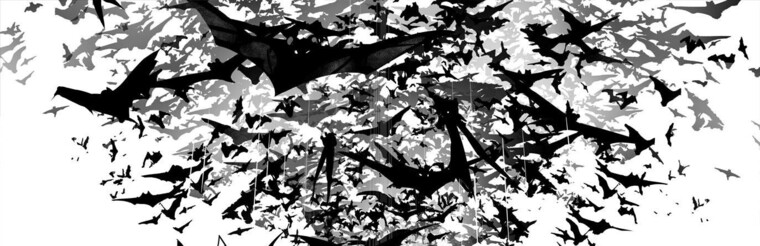 96FTTZ banner image