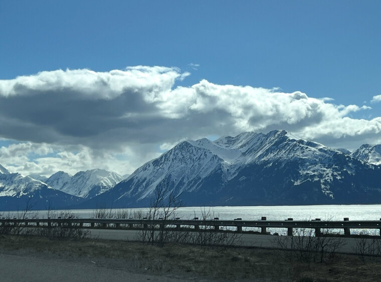 Denali Blu banner image