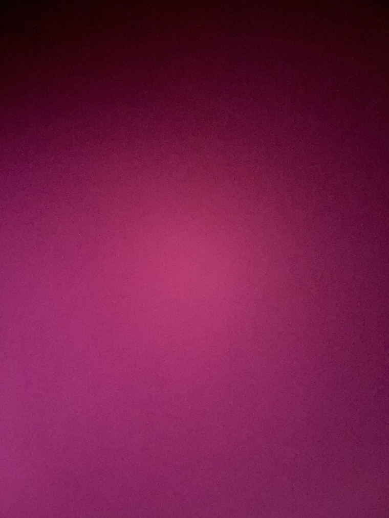 Catia Soto banner image