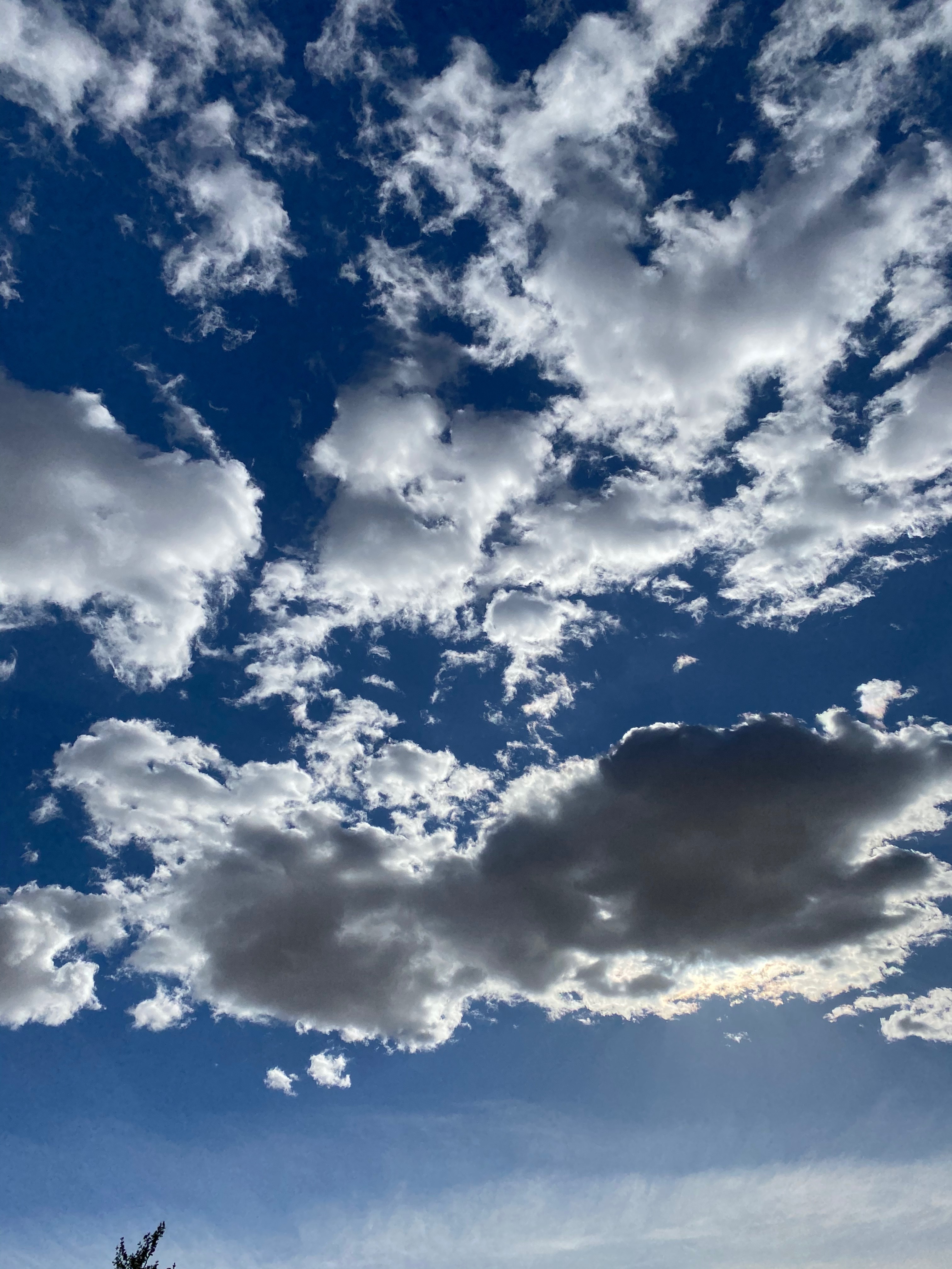 Depree banner image