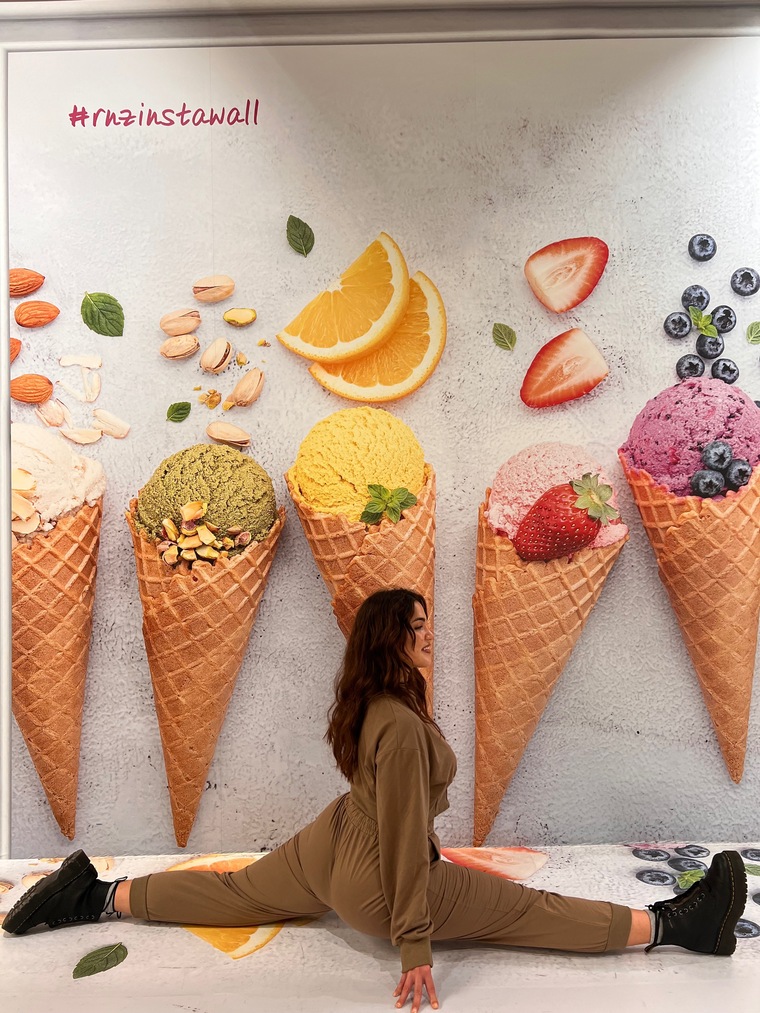 Dermodel cover image