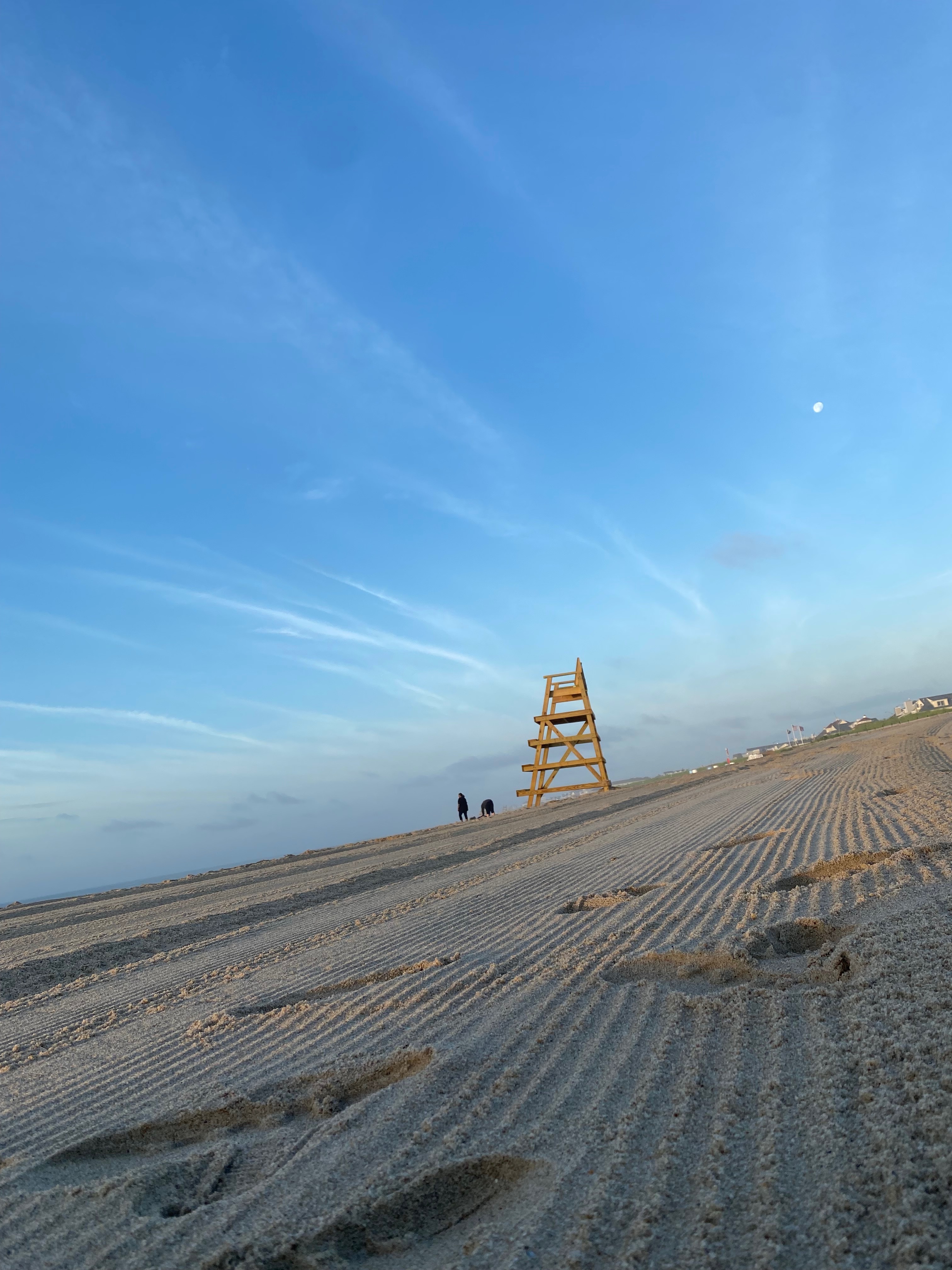 Desert_Peach banner image