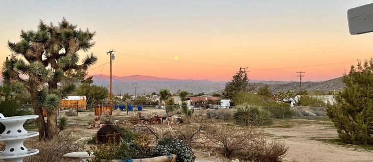Desert POV banner image