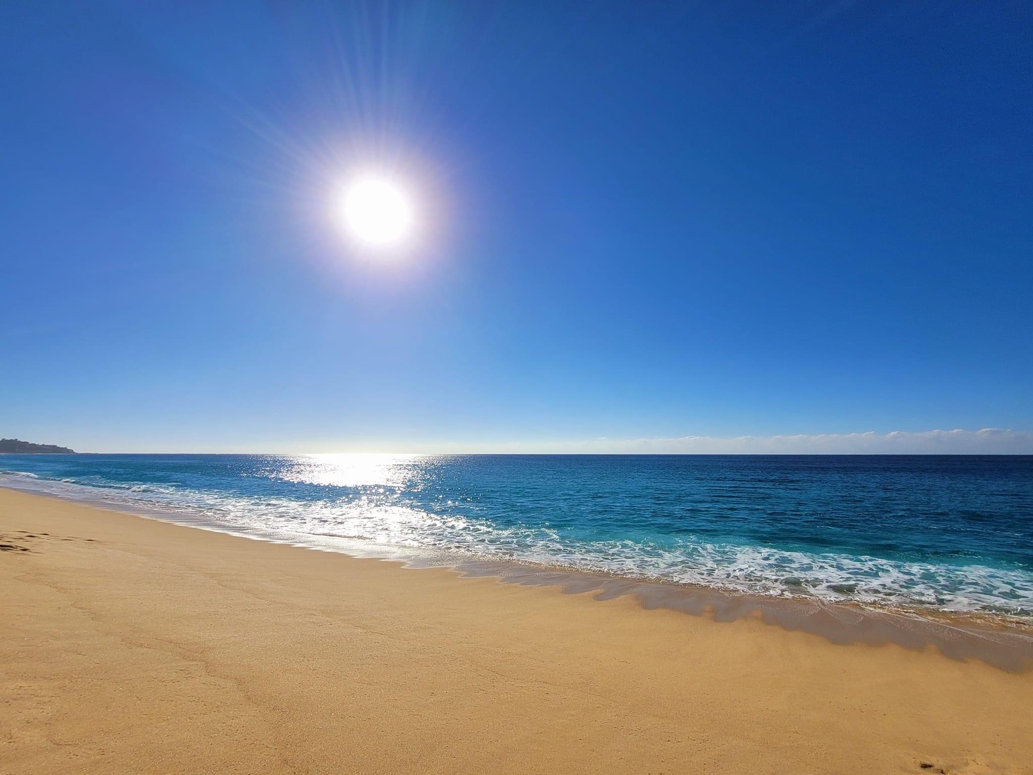 sunkissed07 banner image