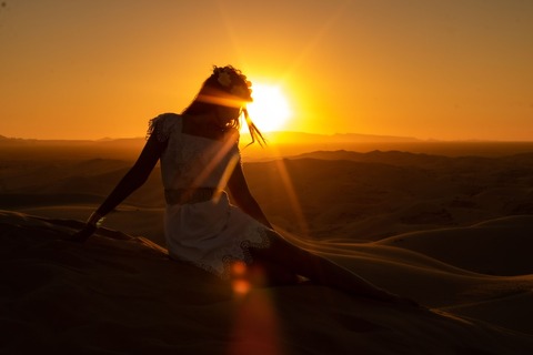 Desert Unicorn Photography cover image