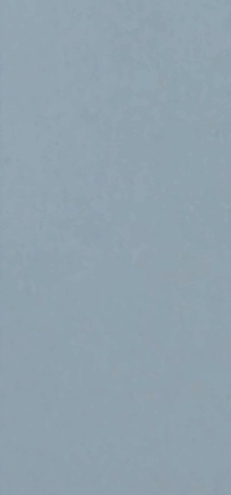 Lily ๐ banner image