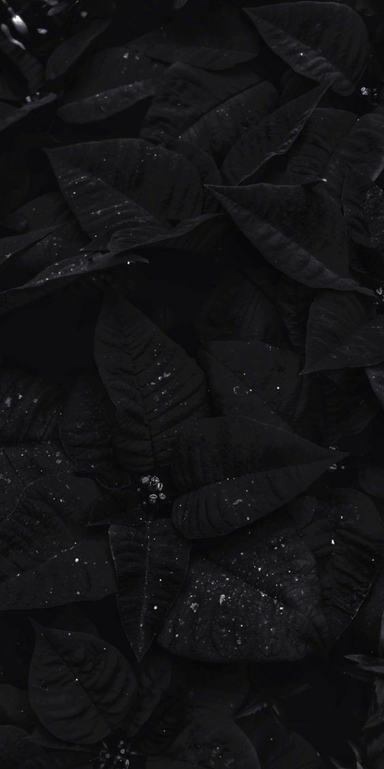 Des banner image