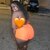 🤤Bxby_De🥴🔥 avatar