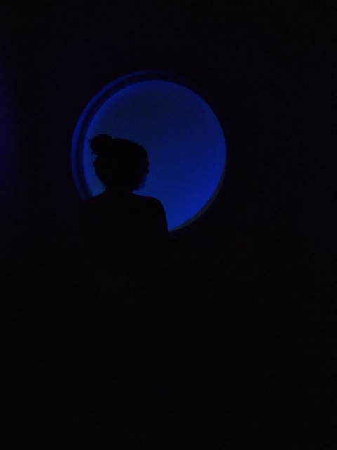 Detiny cover image