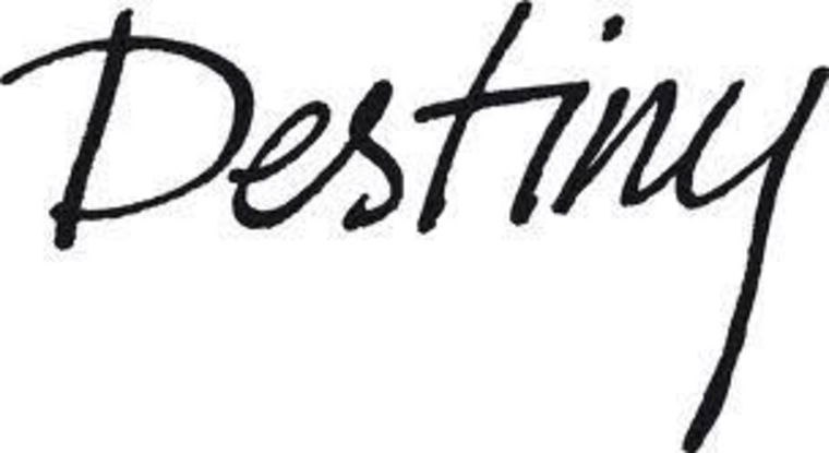 Destiny cover image
