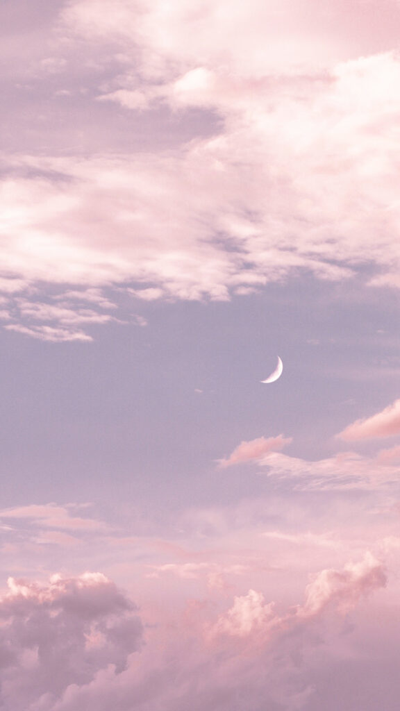 Bratty Pie banner image