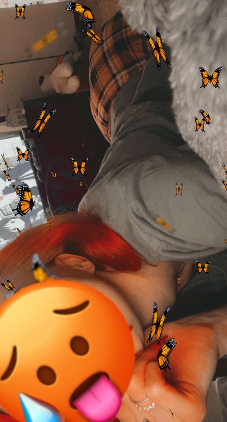 Shyredhead cover image