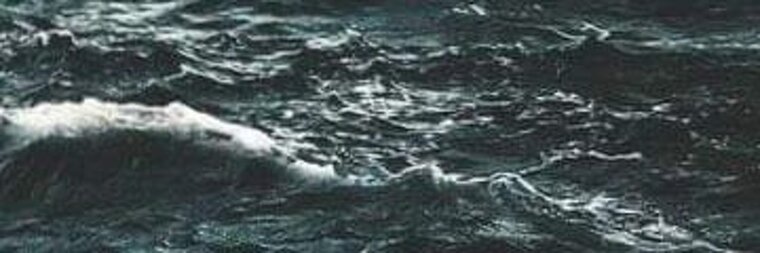 Devylin banner image