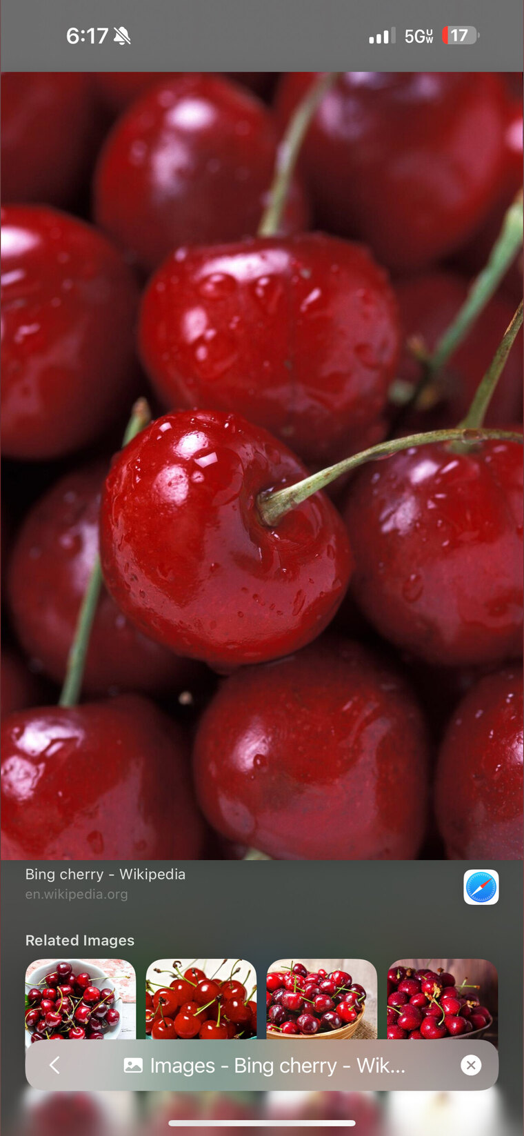 Dezodbaby 🍒 cover image