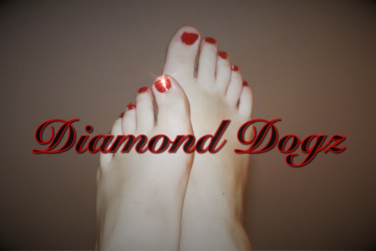 DiamondDog banner image