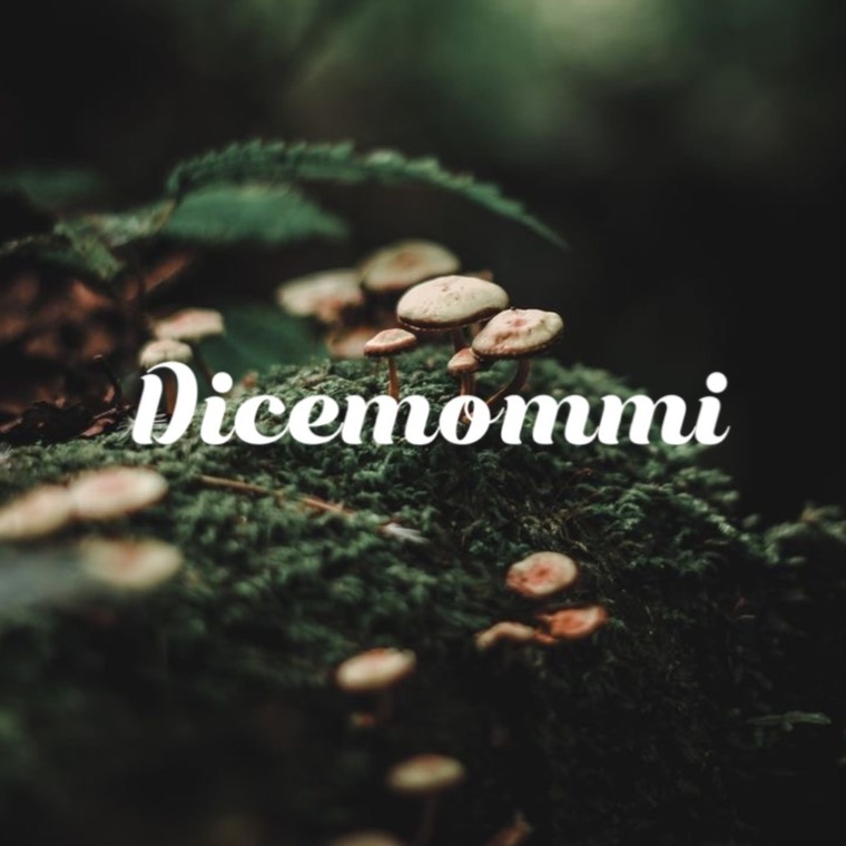 Dicemommii cover image