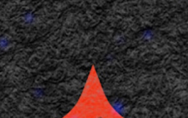 ירדן banner image