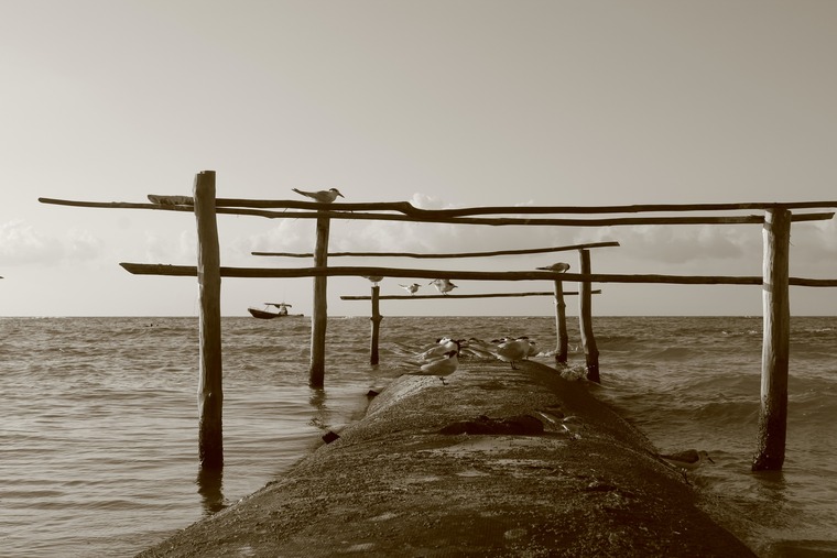 Diego Mora cover image