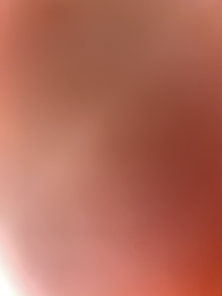 Diego Cunningham banner image