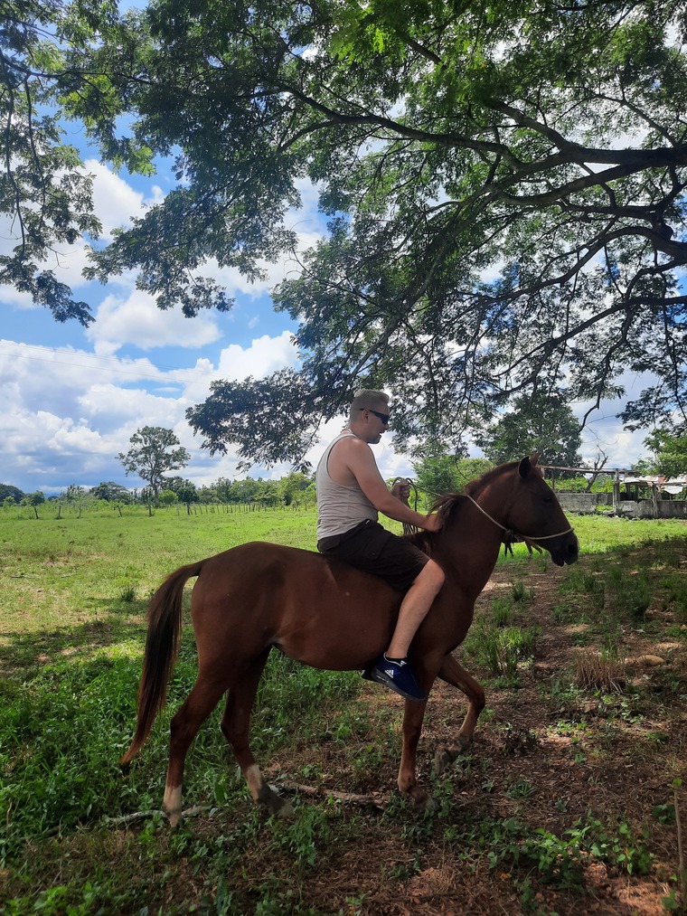 Diego "El Llanerito" 🤠 cover image