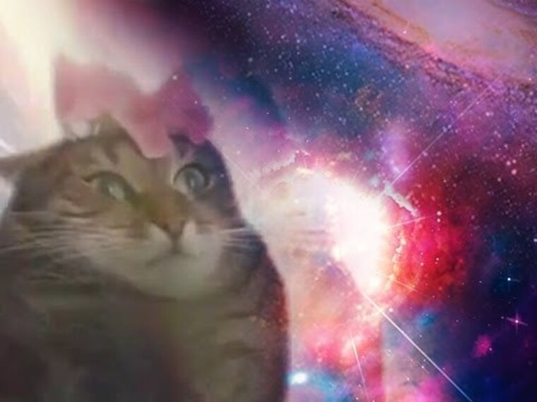digikitti banner image