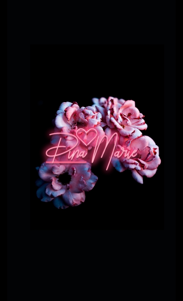 Dina Marie cover image