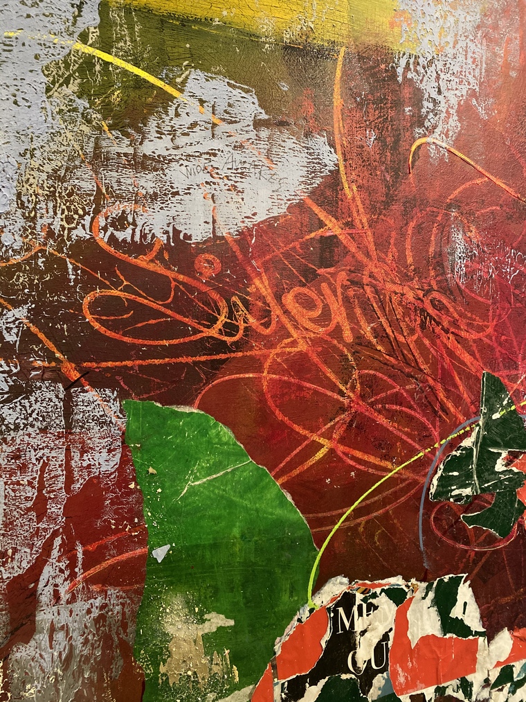 Dingolong banner image