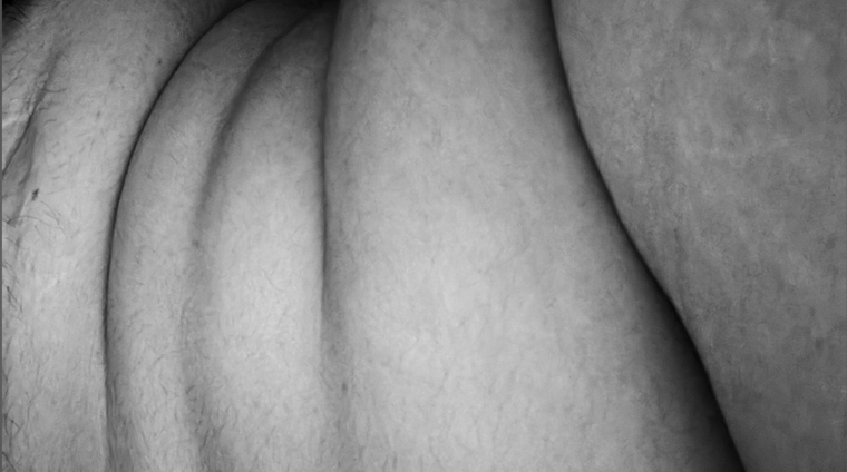 Piggy Cae ๐ท banner image