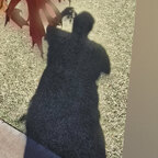 Dionysus avatar