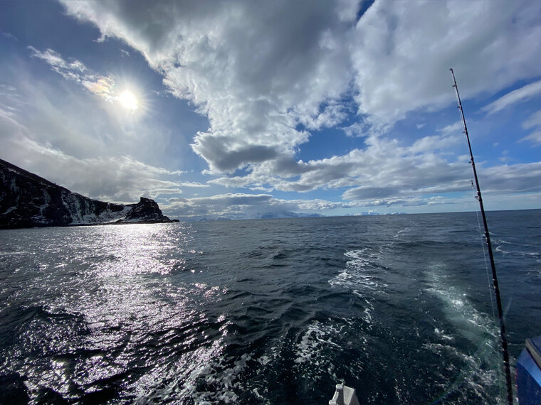 Martin cover image