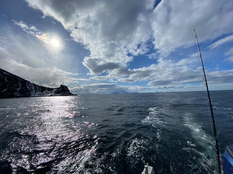 Martin cover image