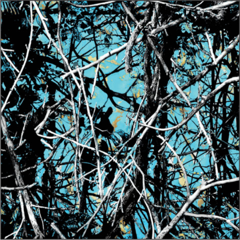 Nikki cover image