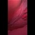 SexySecret avatar