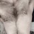 u175114789 avatar