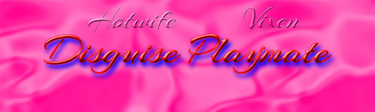 Disguise Playmate cover image